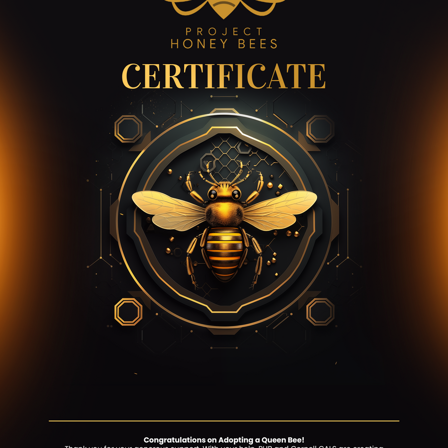 (NEW) Adopt A Bee Certificate Modern