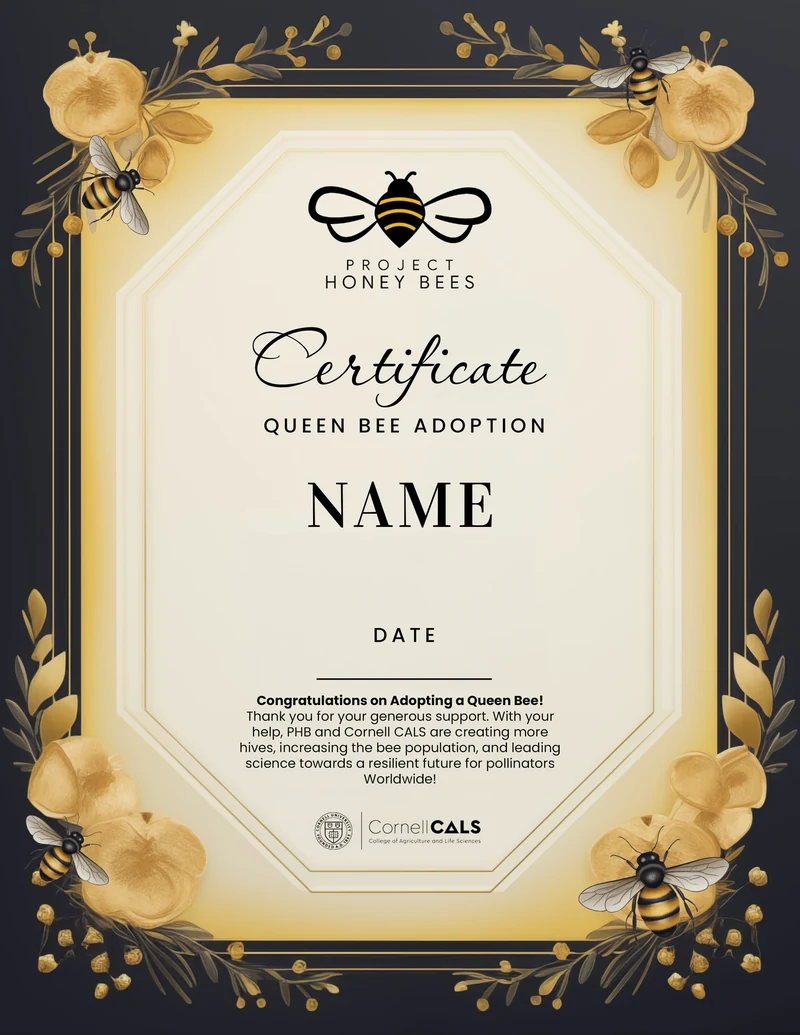 (NEW) Adopt A Bee Certificate
