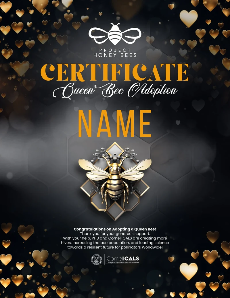 (NEW) Adopt A Bee Certificate - Amour