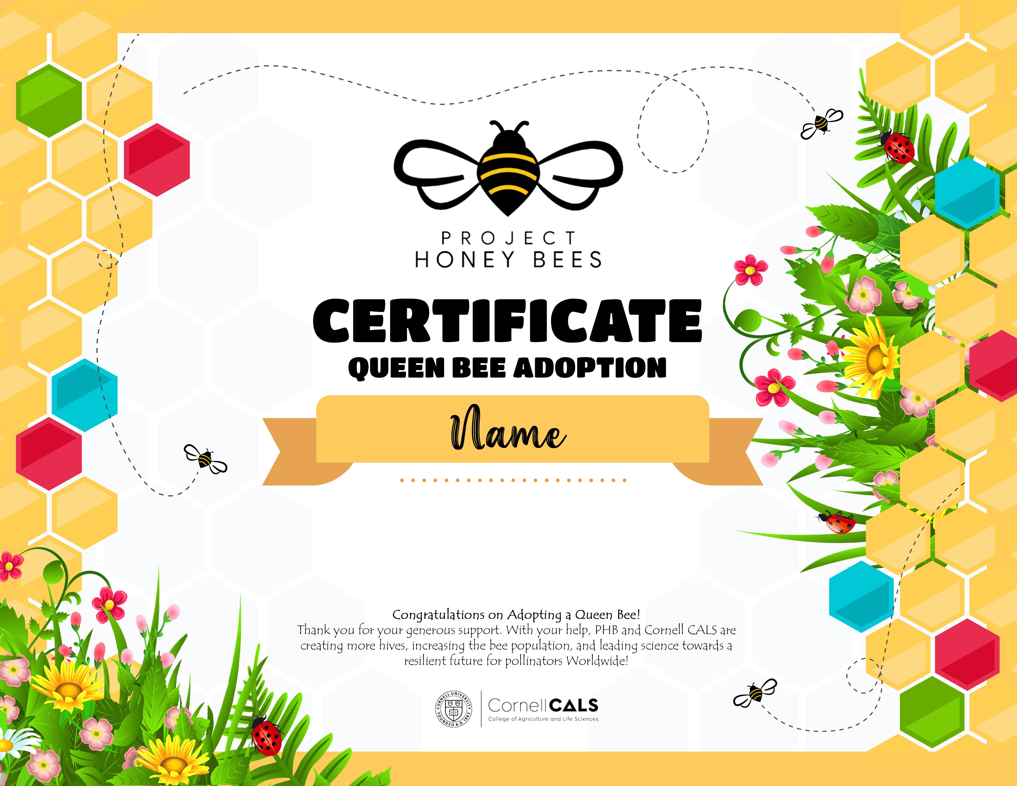 NEW) Adopt A Bee Certificate - Fun – The Project Honey Bees