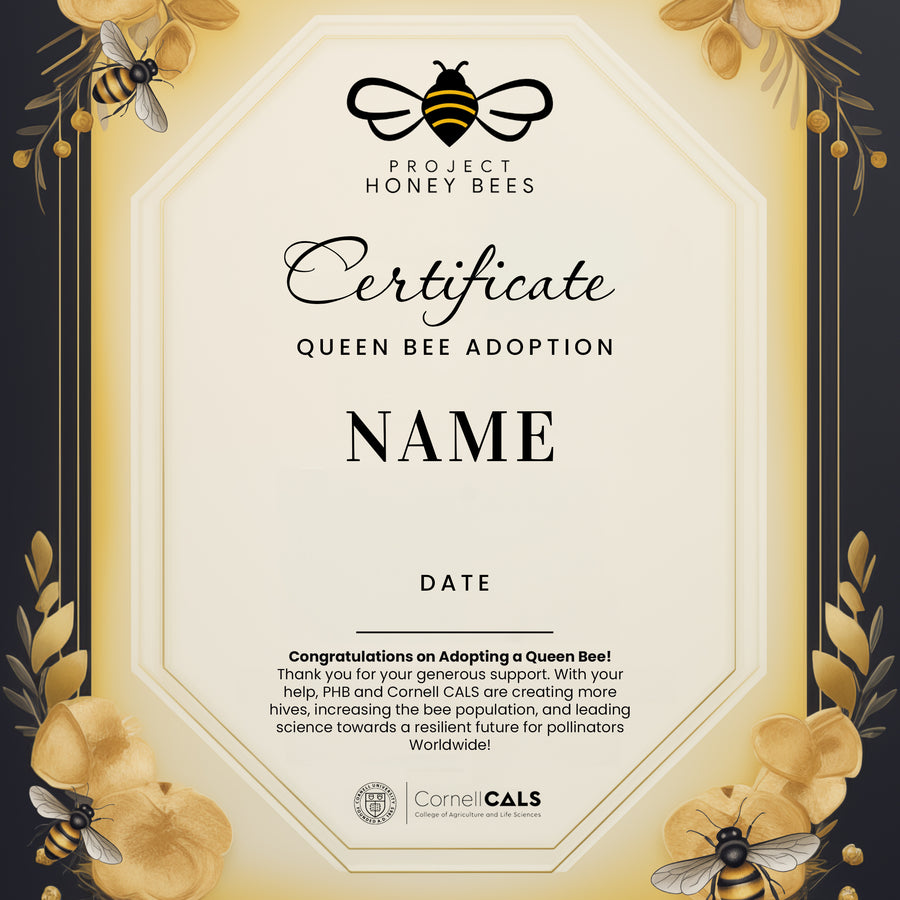 (NEW) Adopt A Bee Certificate